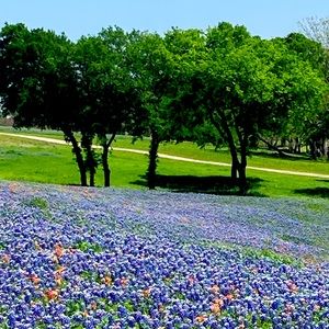 Meet your Posher, Johnny